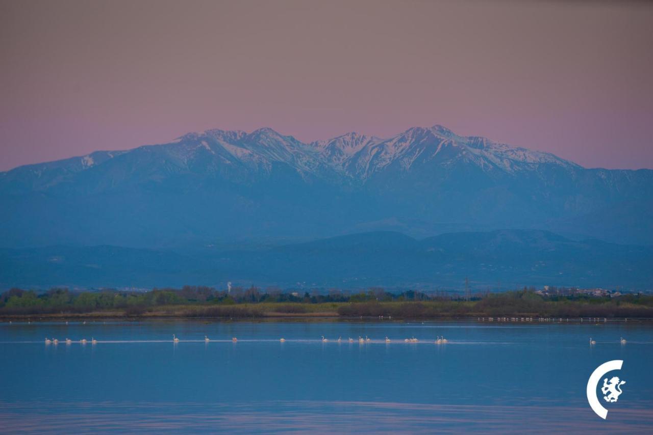 "Mer" Sejour Detente Tout Confort, Magnifique Vue Sur La Mer Canet-en-Roussillon Exterior foto